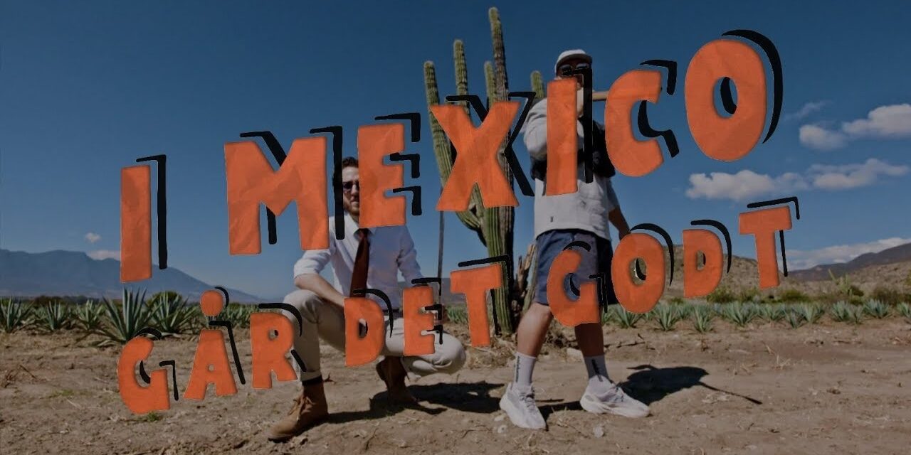 TV-DOCUMENTARY (Cinematographer)